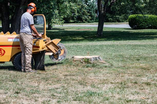 Land clearing and lot cleaning Dallas