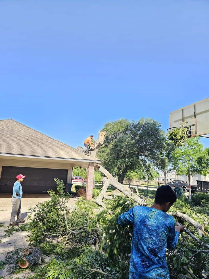 Charly and Sons Tree Service founder portrait